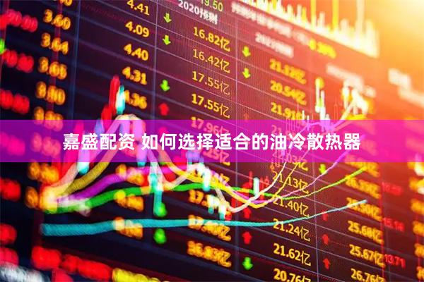 嘉盛配资 如何选择适合的油冷散热器