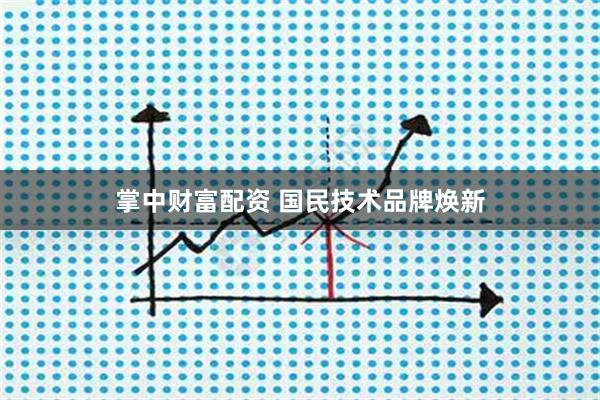 掌中财富配资 国民技术品牌焕新